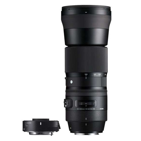 150-600mm F5-6.3 DG OS HSM | C + TC-1401 1.4x Teleconverter