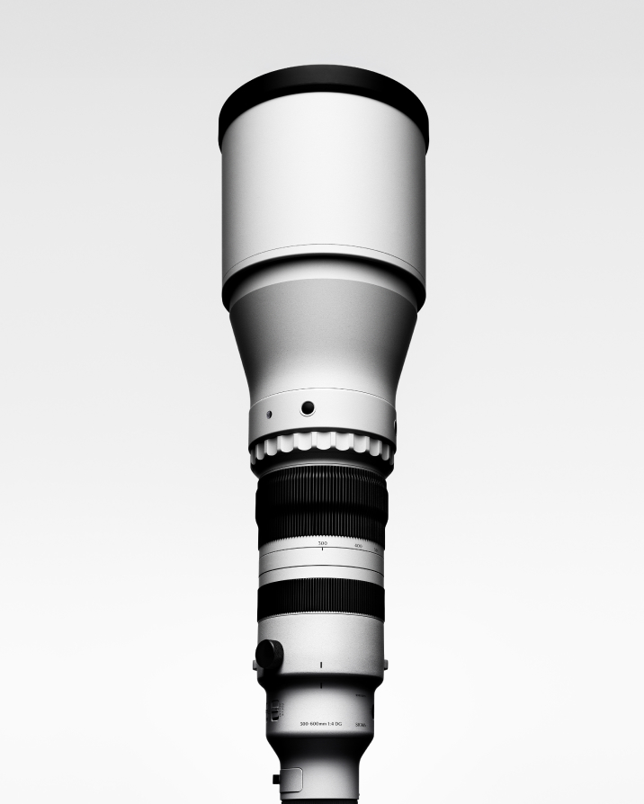 300-600mm F4 DG DN S