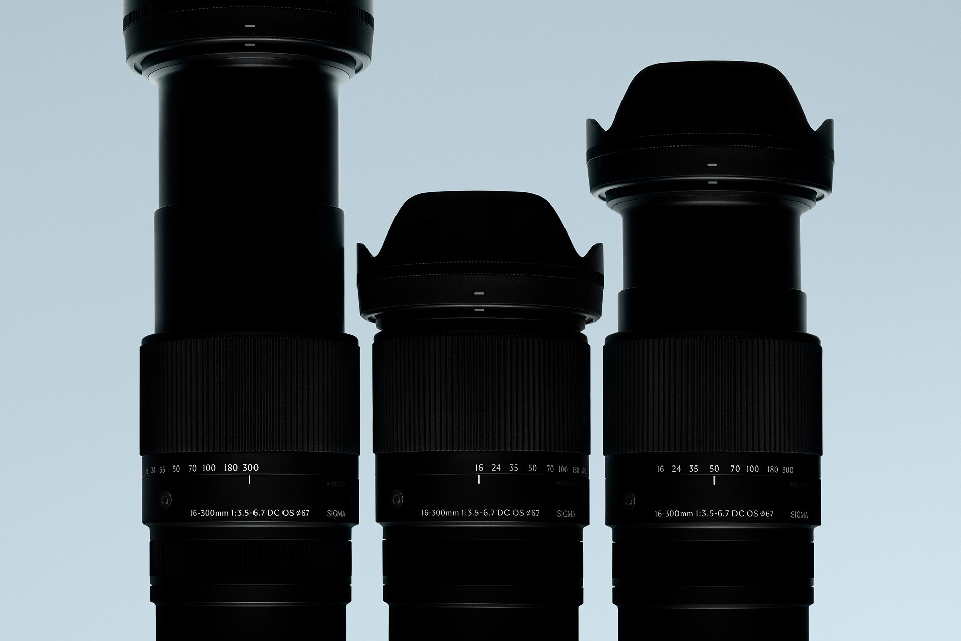 silhouette of sigma lenses